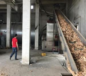 biomass burner for gas boiler